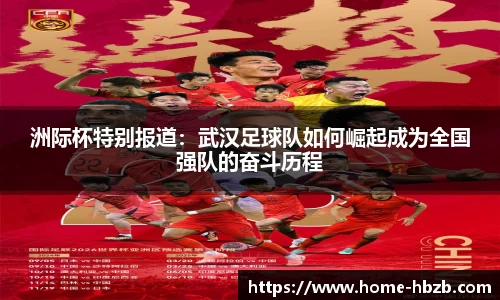 黑白体育直播高清