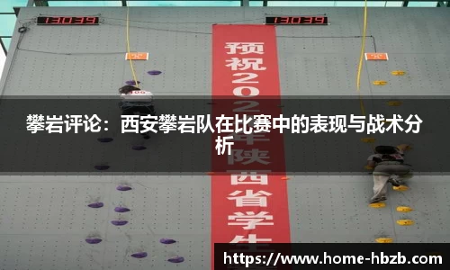 黑白体育直播高清